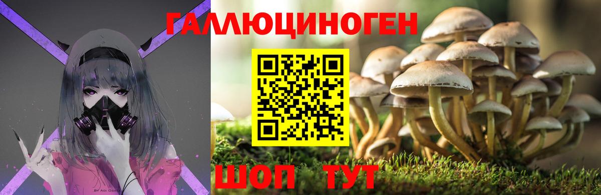 Рассказово  где купить наркоту  Вход с VPN  Псилоцибиновые грибы ЛСД 